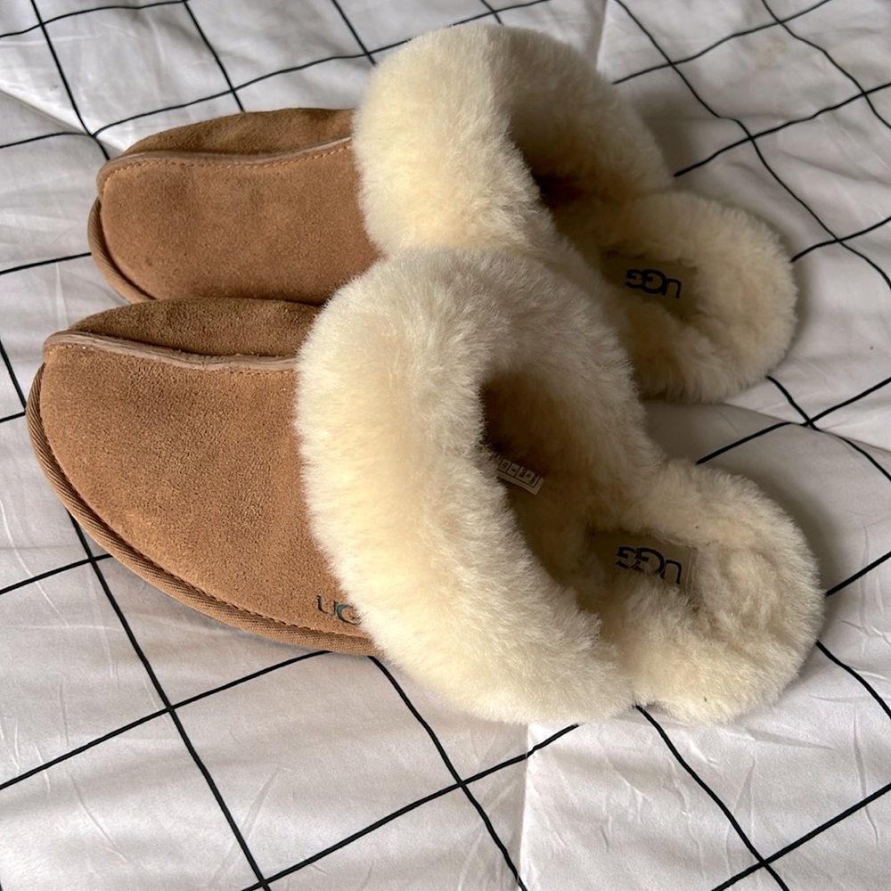 UGG slippers 🧸